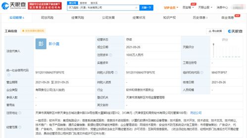 科大訊飛布局新賽道 成立超腦科技公司，深化信息系統(tǒng)集成服務(wù)